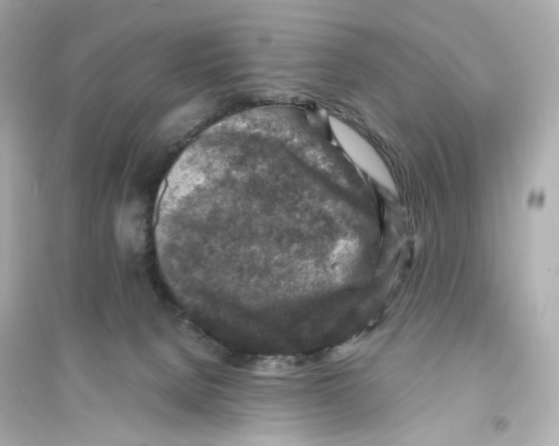 X0000093730080200711131048