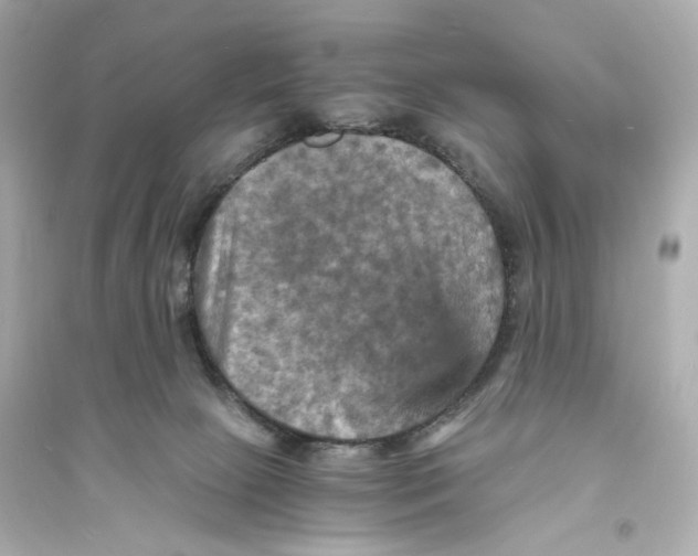 X0000093730081200711131048
