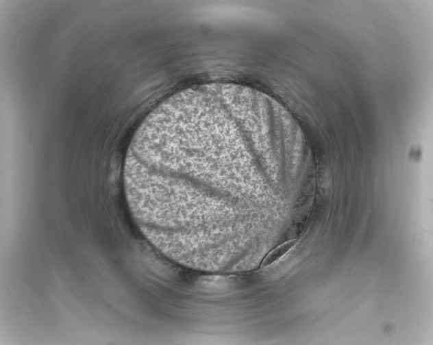 X0000093730082200711131048