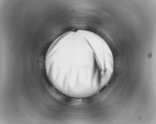 X0000093730083200711131048