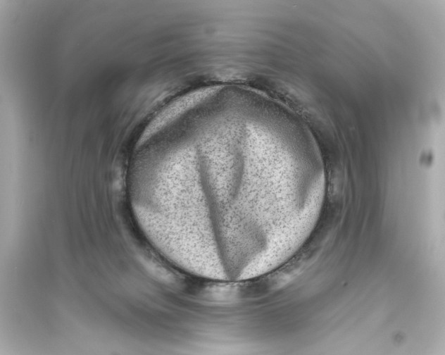 X0000093730084200711131048