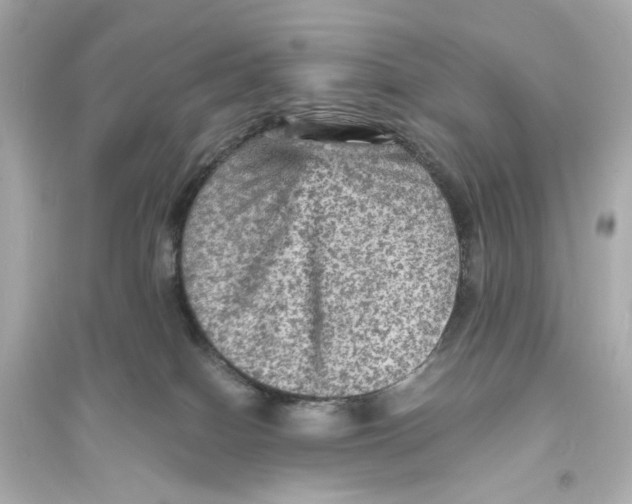 X0000093730086200711131048