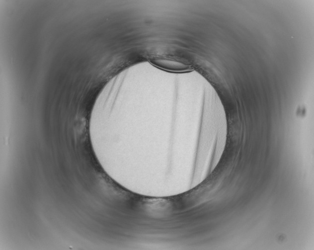X0000093730087200711131048