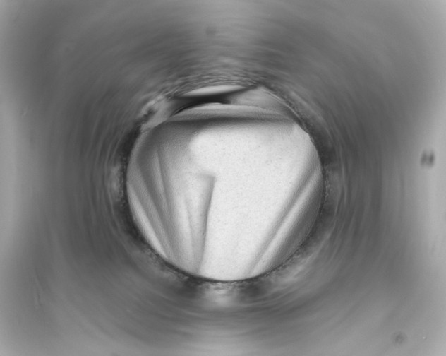 X0000093730088200711131048