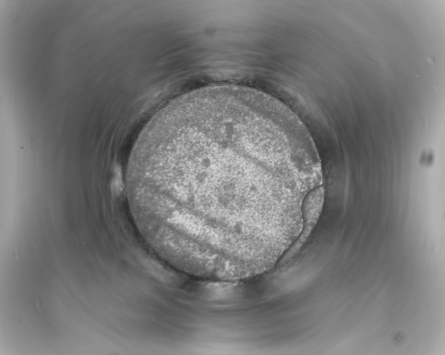 X0000093730089200711131048