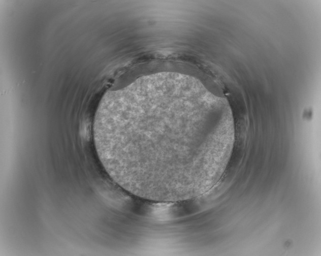 X0000093730090200711131048
