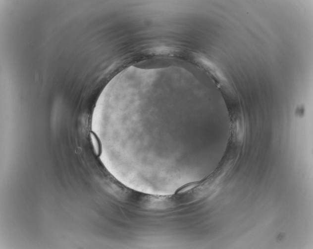 X0000093730093200711131048