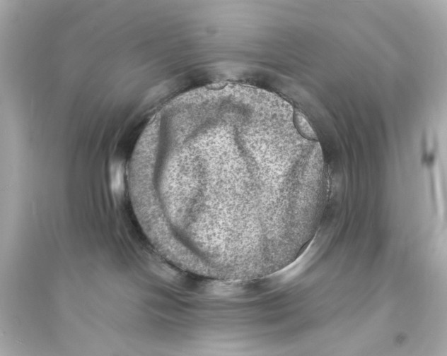X0000093730094200711131048
