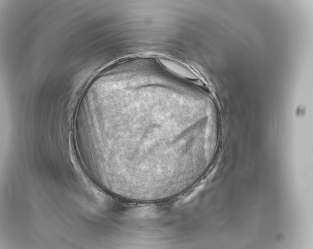 X0000093730097200711131047