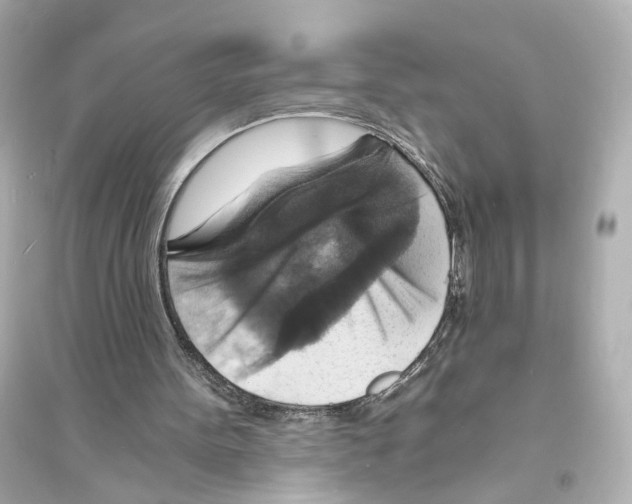 X0000093730099200711131047