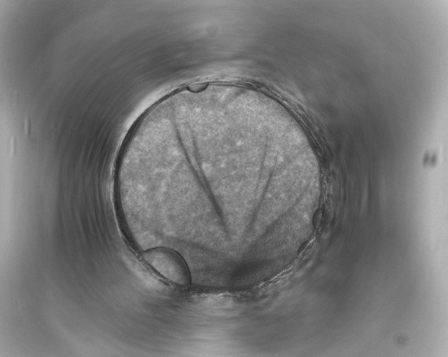 X0000093730100200711131047