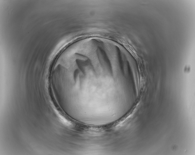 X0000093730101200711131047