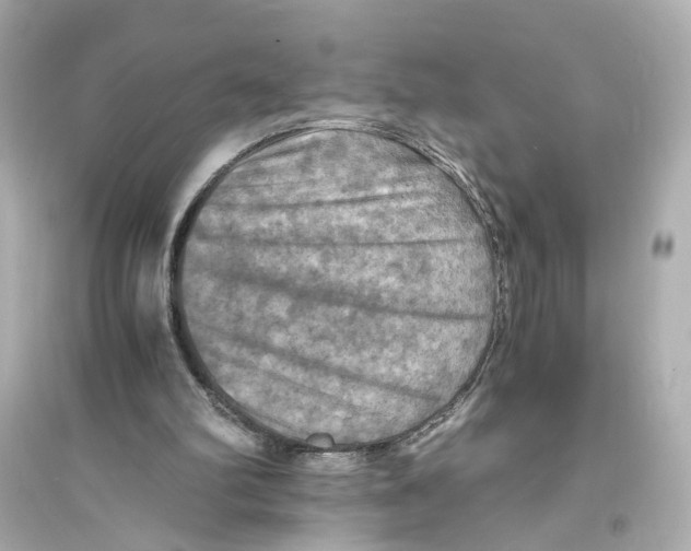 X0000093730102200711131047