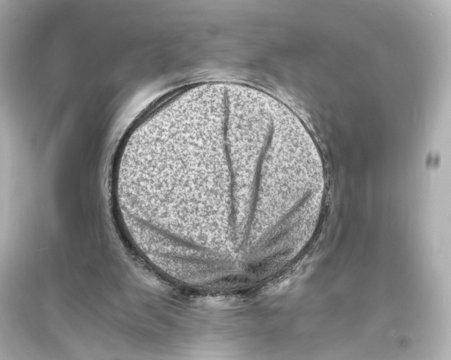 X0000093730103200711131047