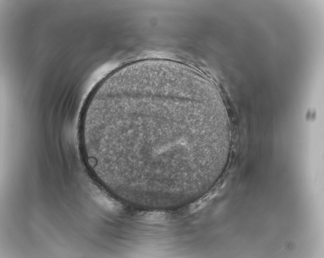 X0000093730104200711131047