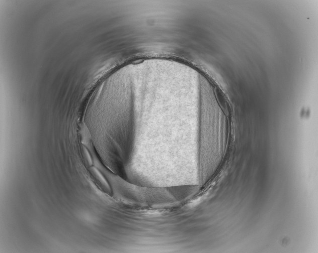 X0000093730105200711131047
