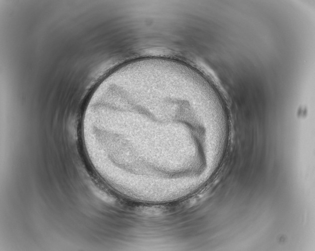 X0000093730106200711131047