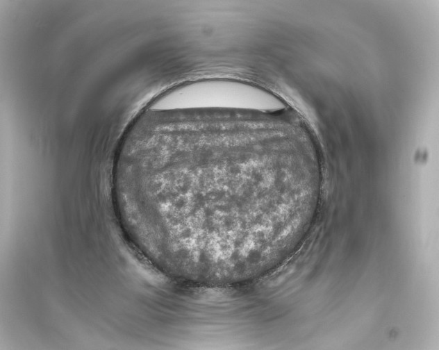 X0000093730107200711131047