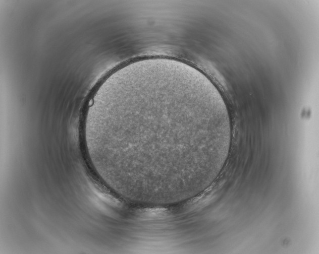 X0000093730108200711131047