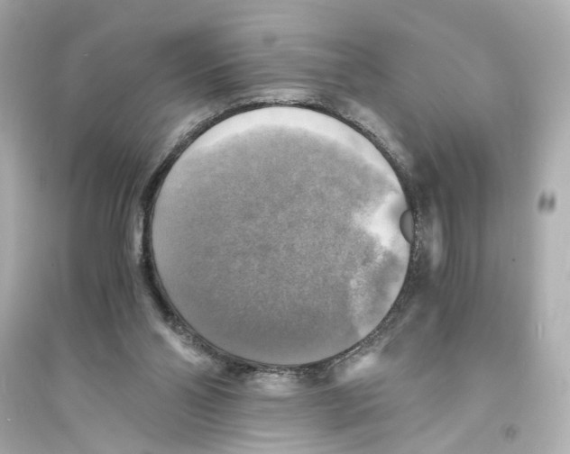 X0000093730110200711131047