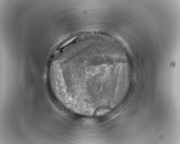X0000093730115200711131047