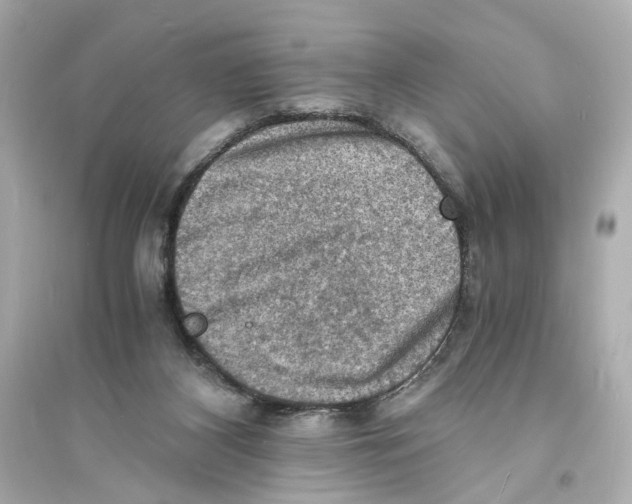 X0000093730116200711131047