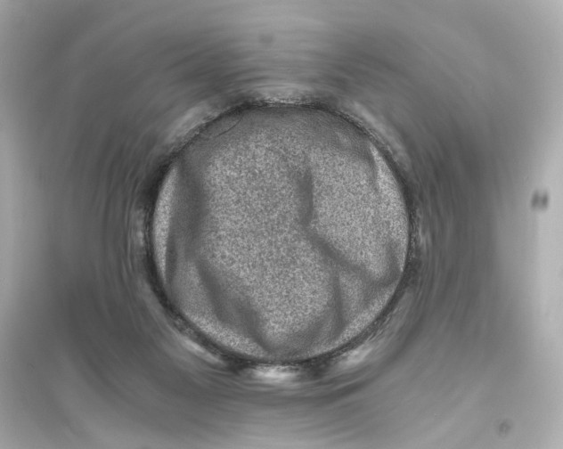 X0000093730117200711131047