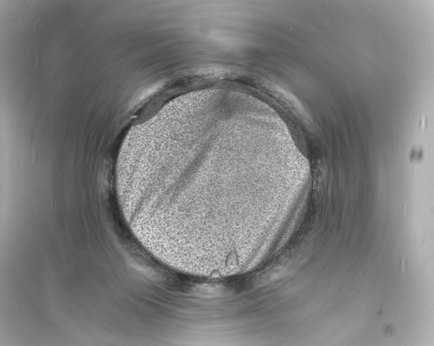 X0000093730119200711131047