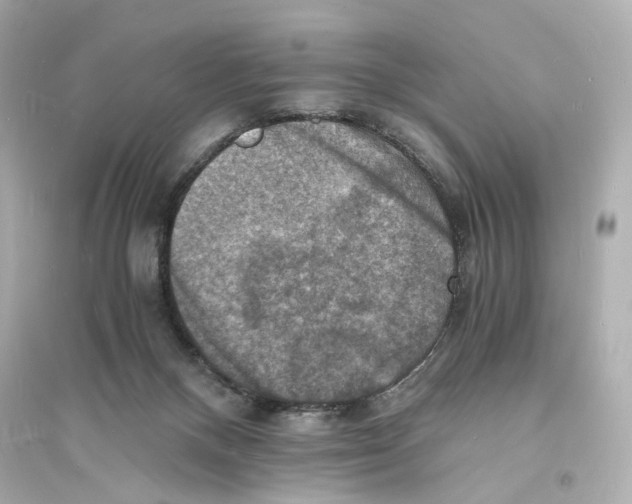 X0000093730120200711131047