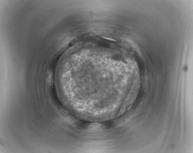 X0000093730123200711131047
