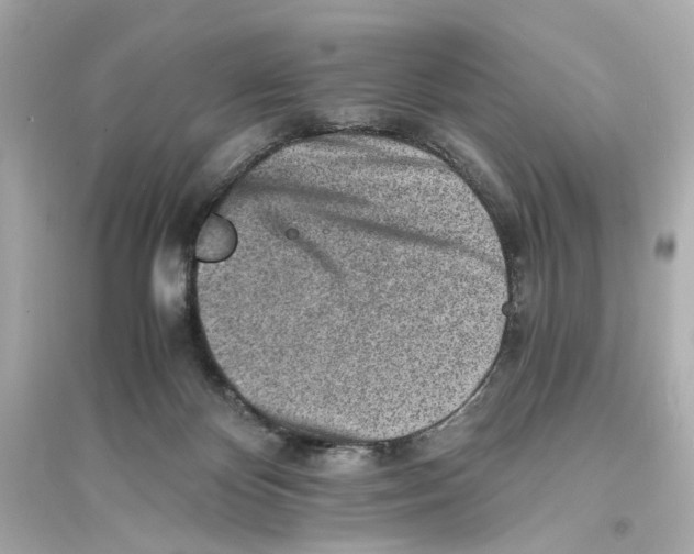 X0000093730124200711131047