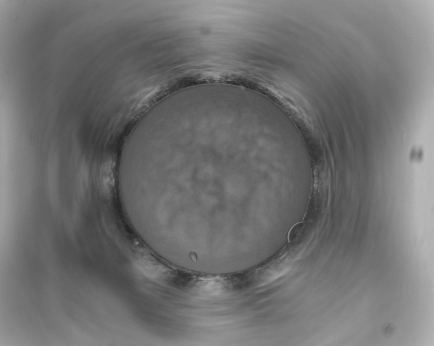 X0000093730127200711131047