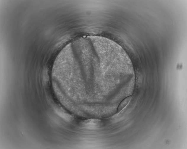 X0000093730128200711131047