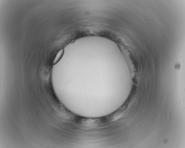 X0000093730129200711131047