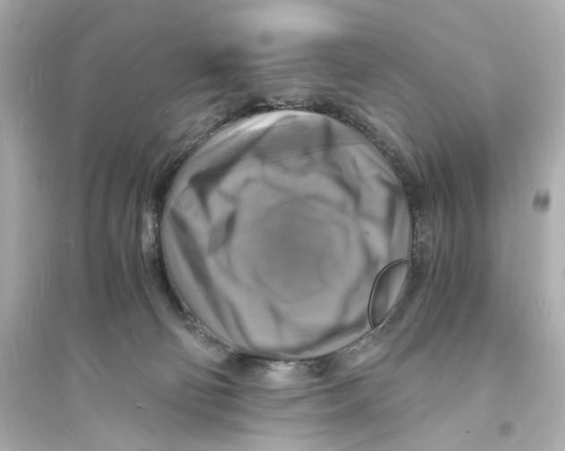 X0000093730130200711131047