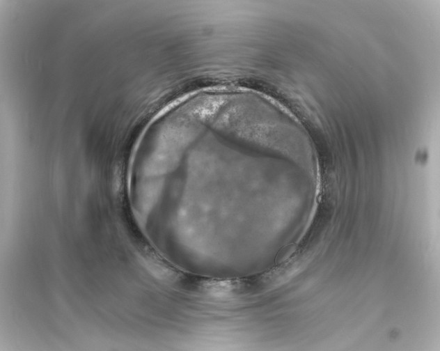 X0000093730131200711131047