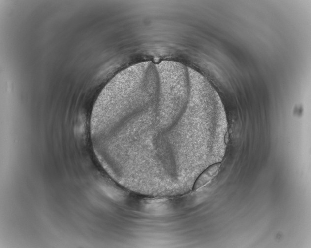 X0000093730132200711131047