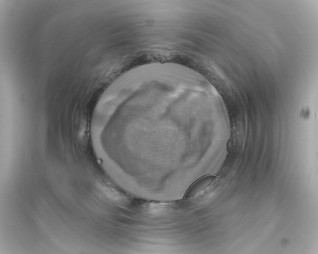 X0000093730134200711131047