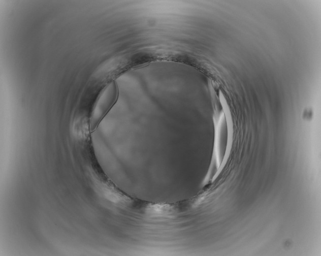 X0000093730137200711131047