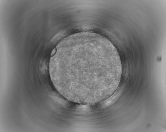 X0000093730140200711131047