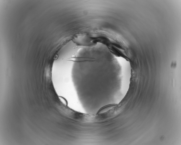 X0000093730143200711131047