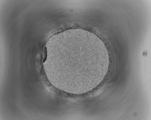 X0000093730144200711131047