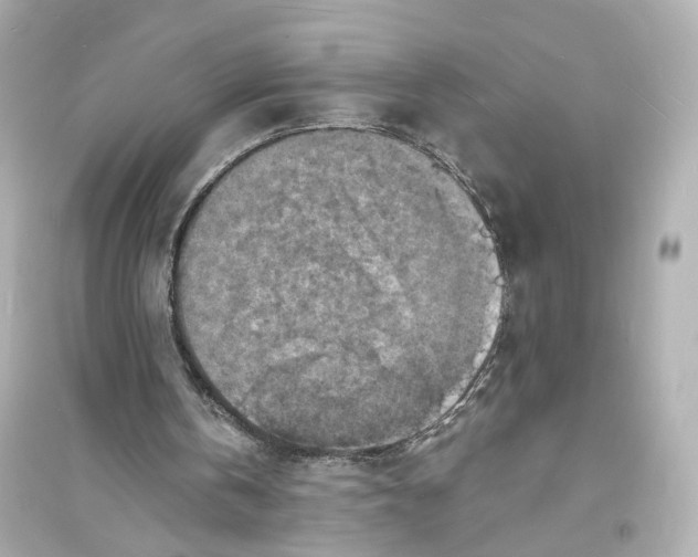 X0000093730146200711131046
