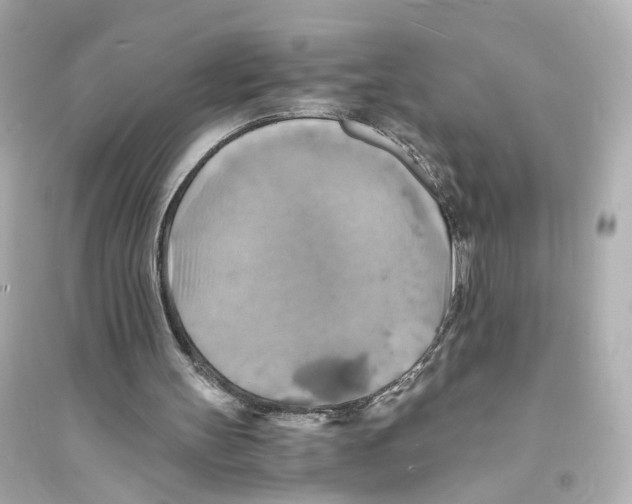 X0000093730147200711131046