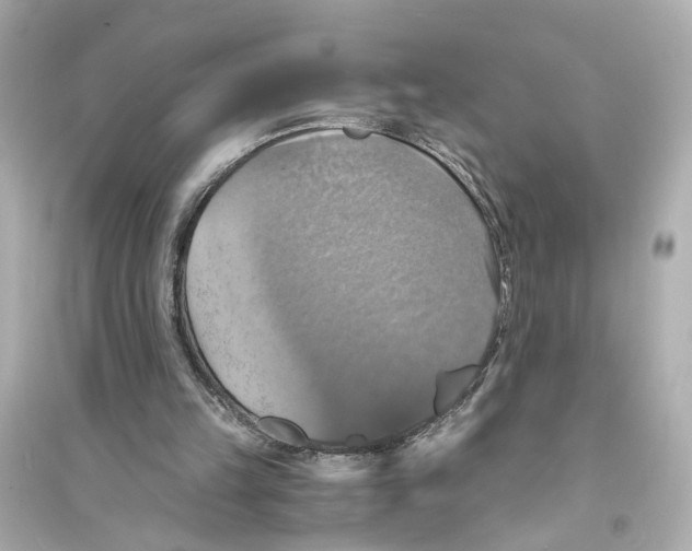 X0000093730149200711131046