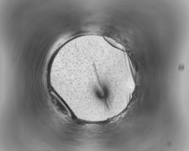 X0000093730150200711131046