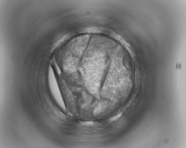 X0000093730153200711131046