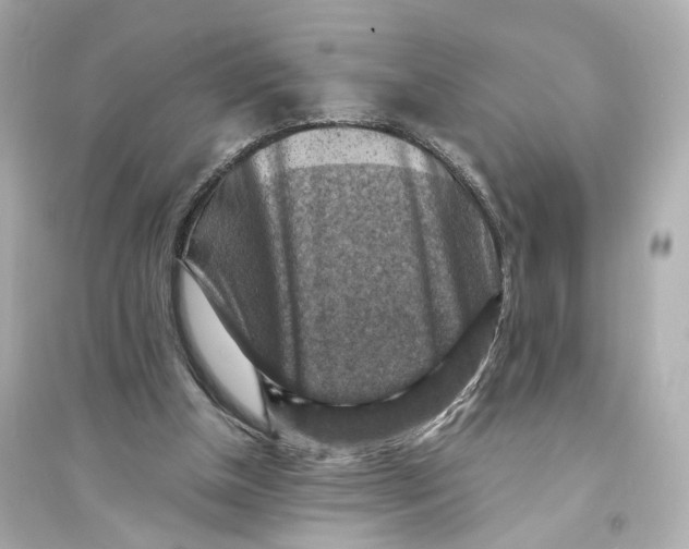 X0000093730154200711131046