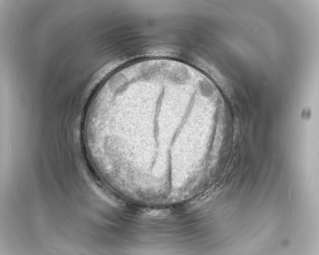 X0000093730155200711131046