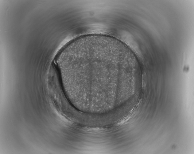X0000093730156200711131046